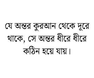 কুরআন নিয়ে উক্তি