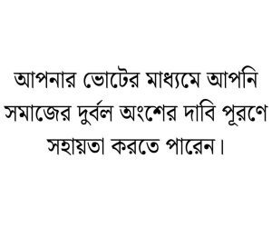 ভোট নিয়ে উক্তি