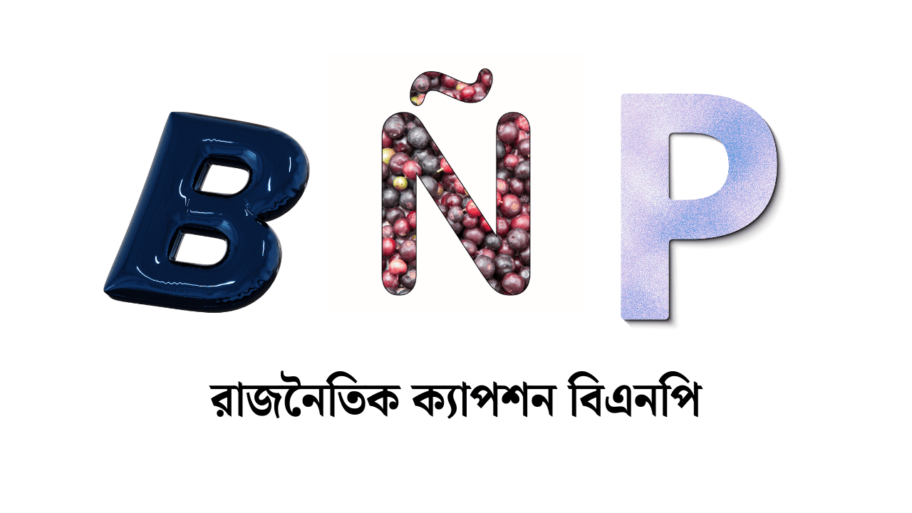 রাজনৈতিক ক্যাপশন বিএনপি